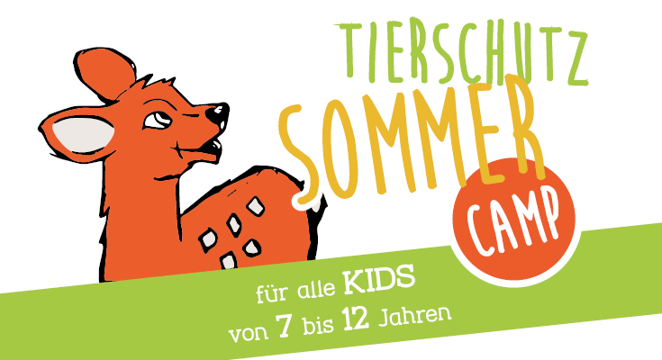 Tierschutz Sommercamp