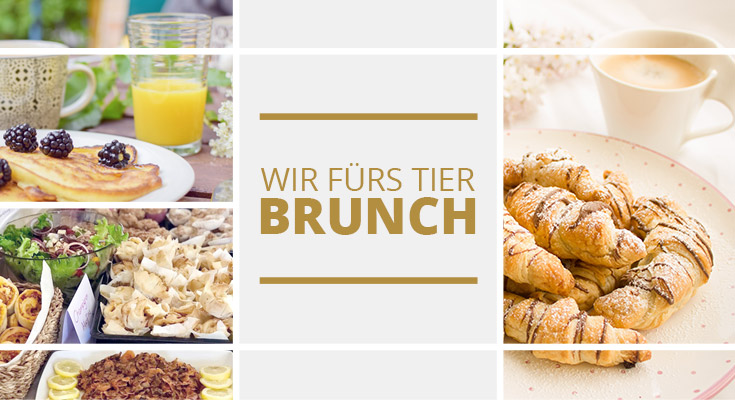 Wir fürs Tier Brunch