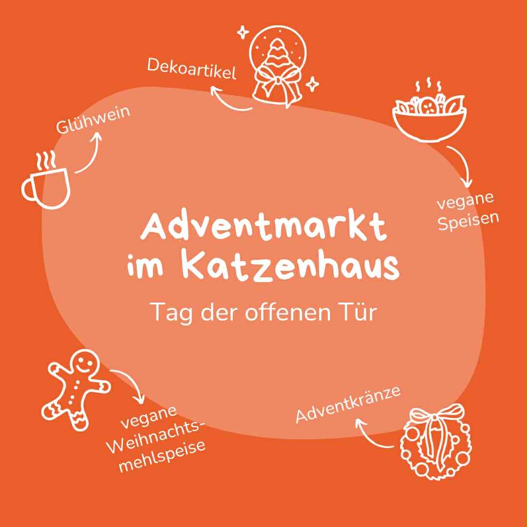 Tag der offenen Tür & Adventmarkt